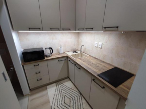 Apartmán Moyzes 1